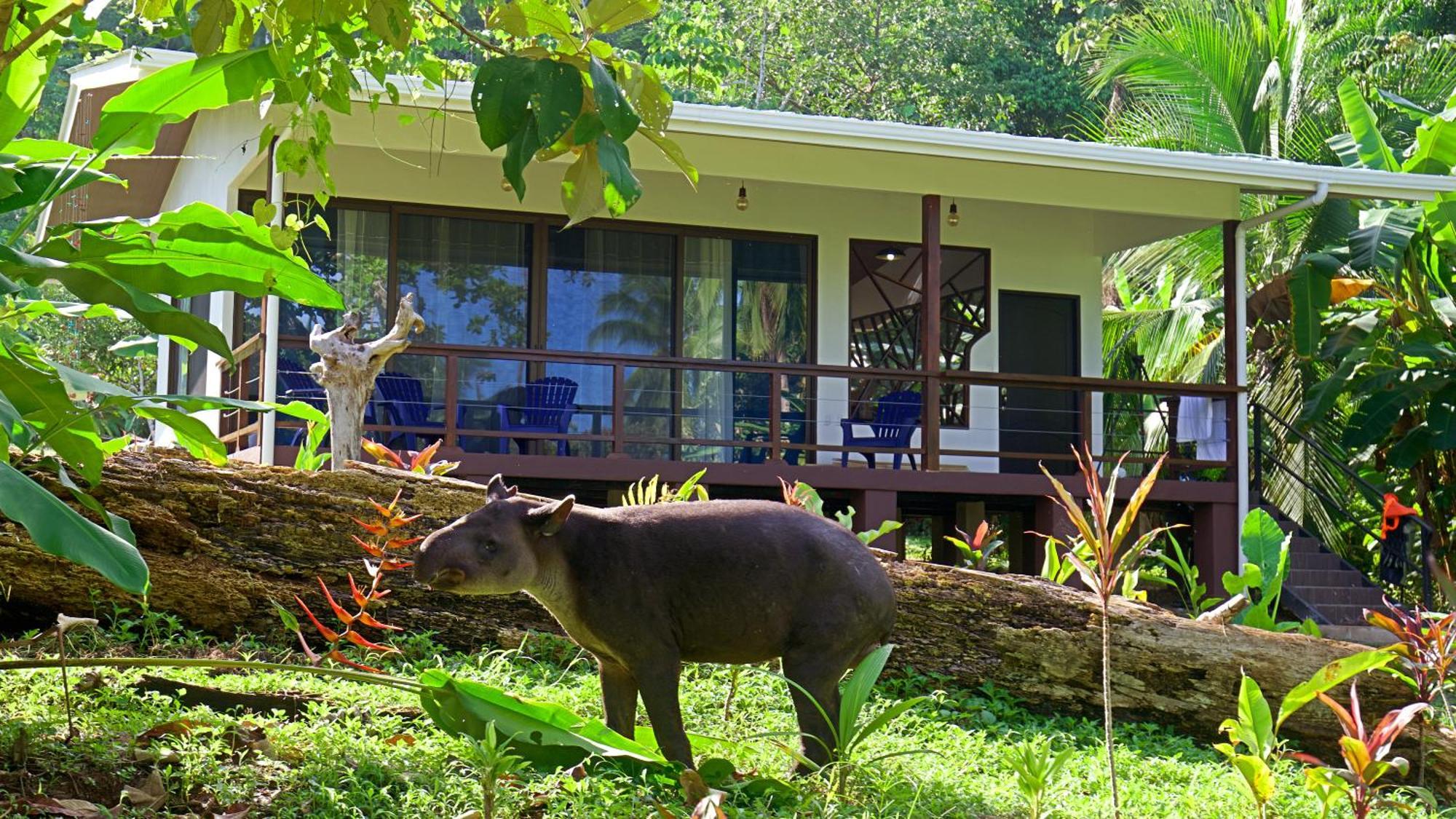 Eden Corcovado Villa San Pedrillo Exterior foto